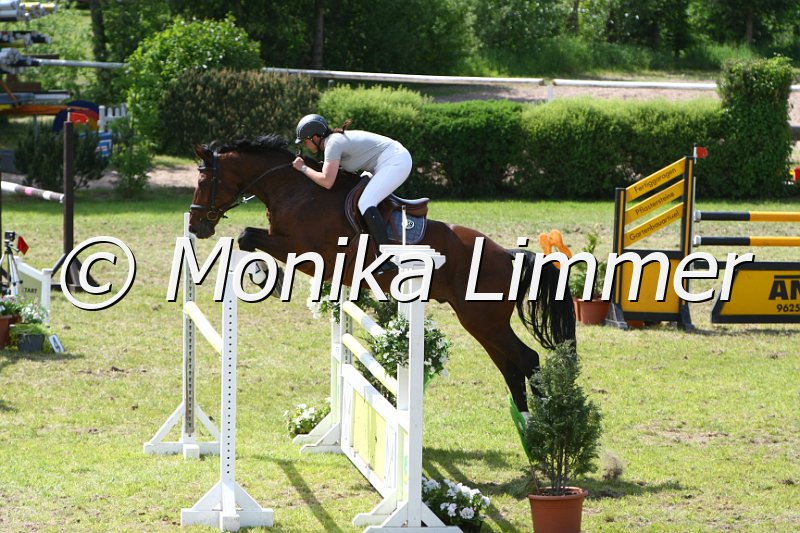 204M6370_Rubertino_Spring Mx.JPG